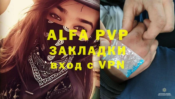 стаф Аркадак