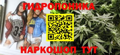 шишки Берёзовский