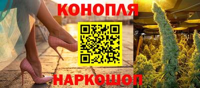 твердый Бийск