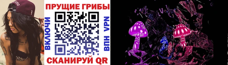 Галлюциногенные грибы Cubensis  закладка  Беслан 